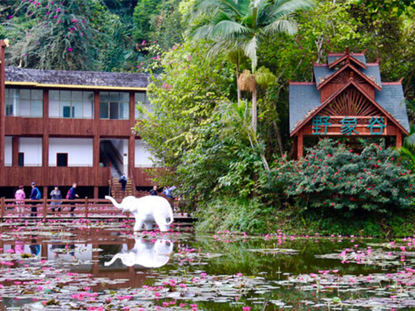 西雙版納野象谷熱帶雨林景區(qū)