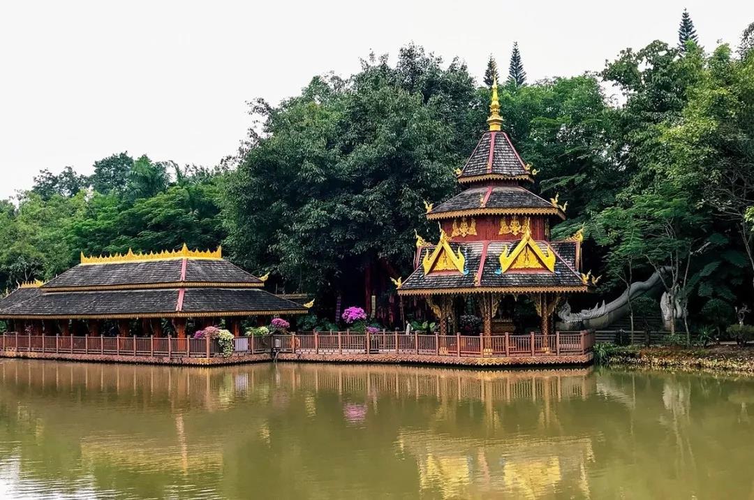 西雙版納研學旅行