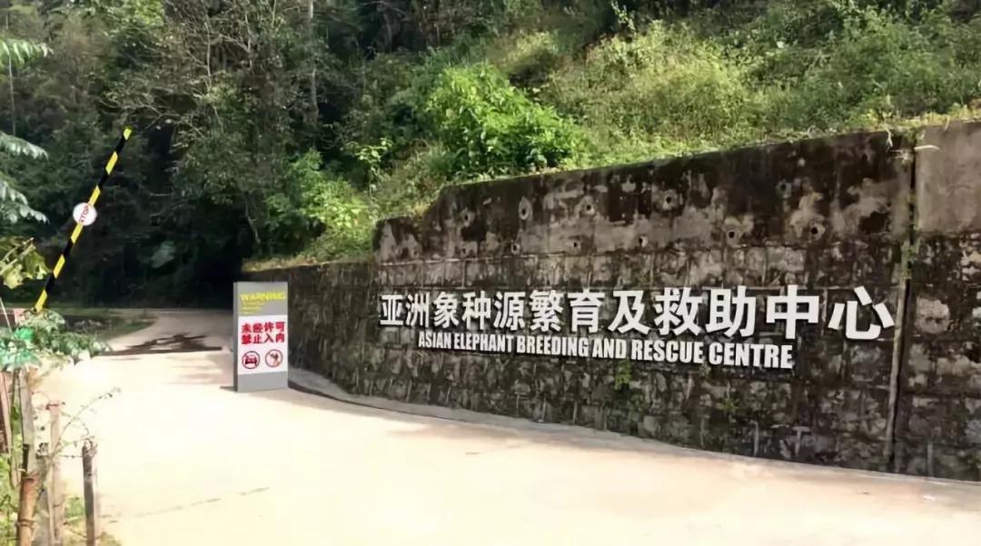 西雙版納你研學(xué)旅行夏令營