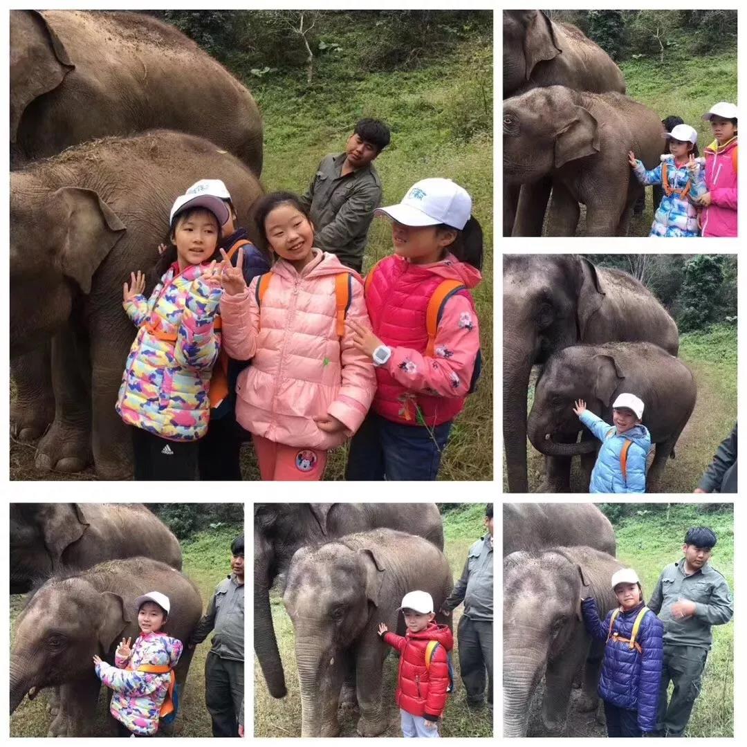 西雙版納研學(xué)旅行夏令營