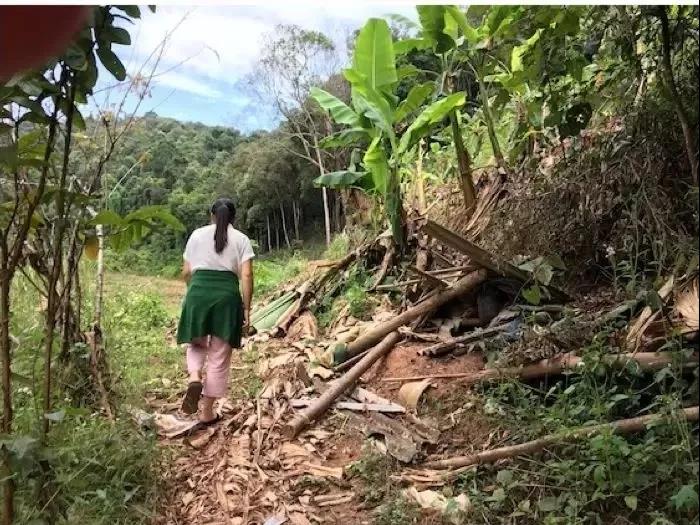 西雙版納研學(xué)旅行夏令營