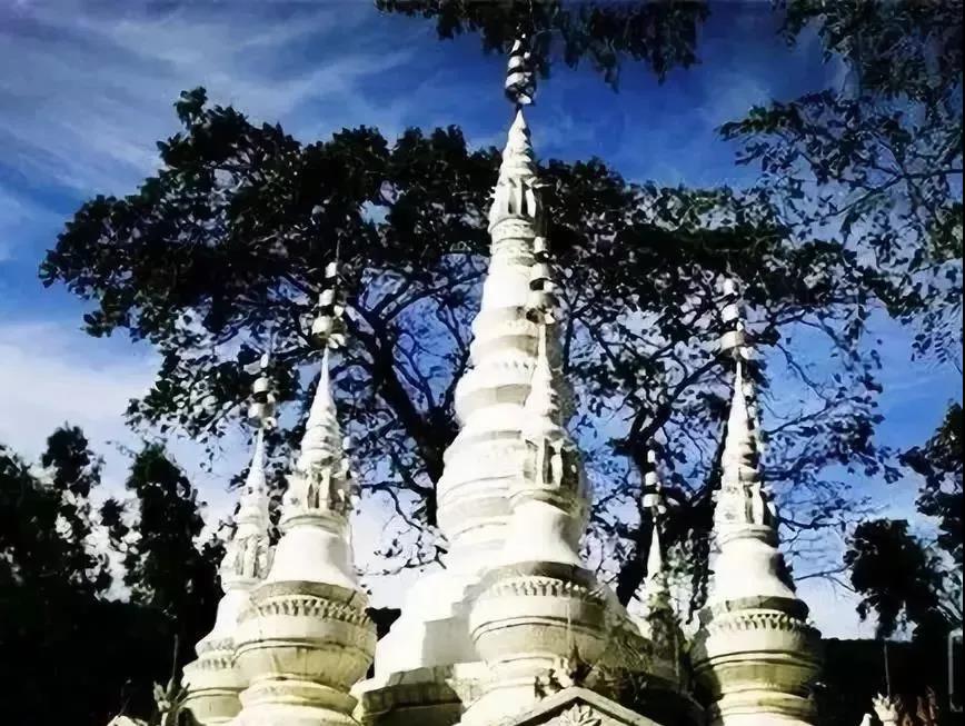 西雙版納夏令營