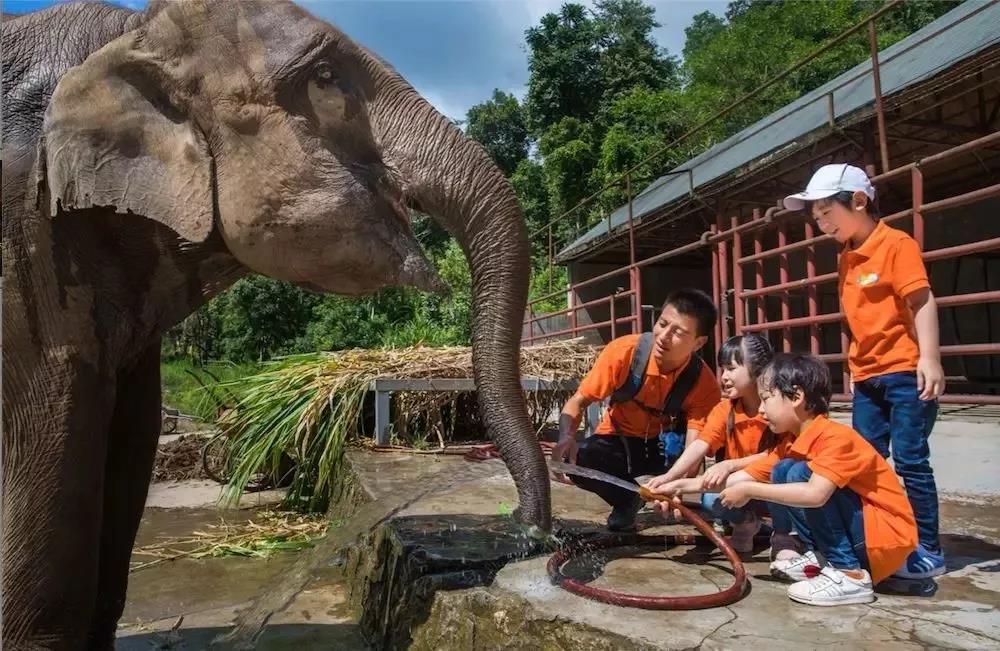 2020暑期?西雙版納研學(xué)：自然科考，非遺文化學(xué)習(xí)，給孩子一個(gè)不一樣的假期！