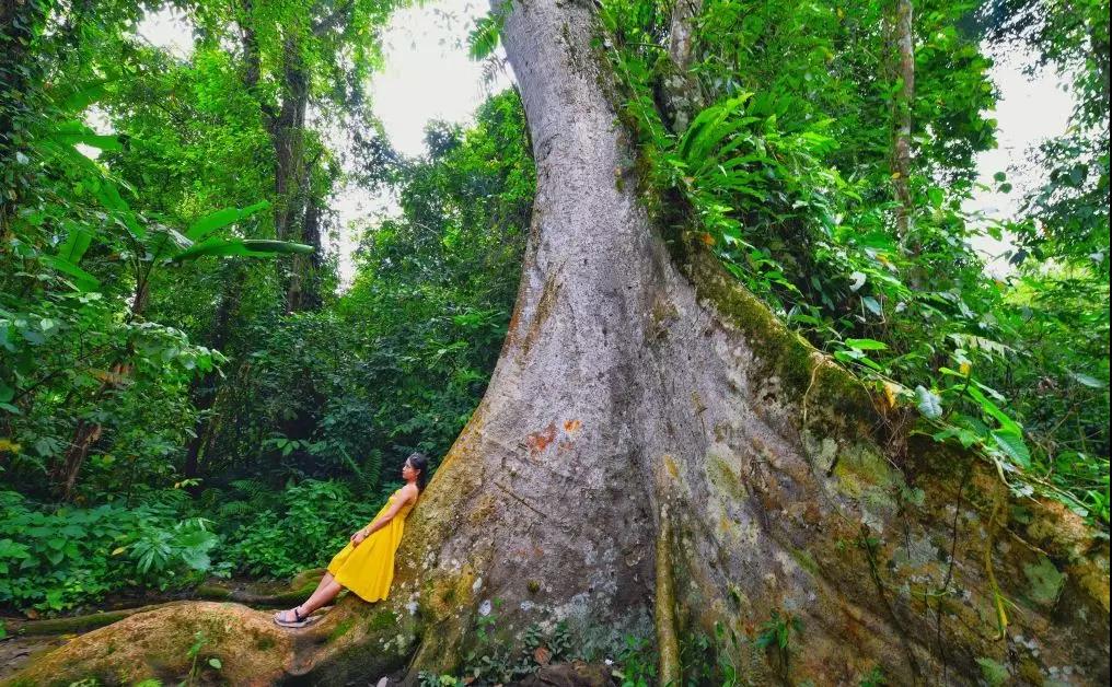 西雙版納夏令營