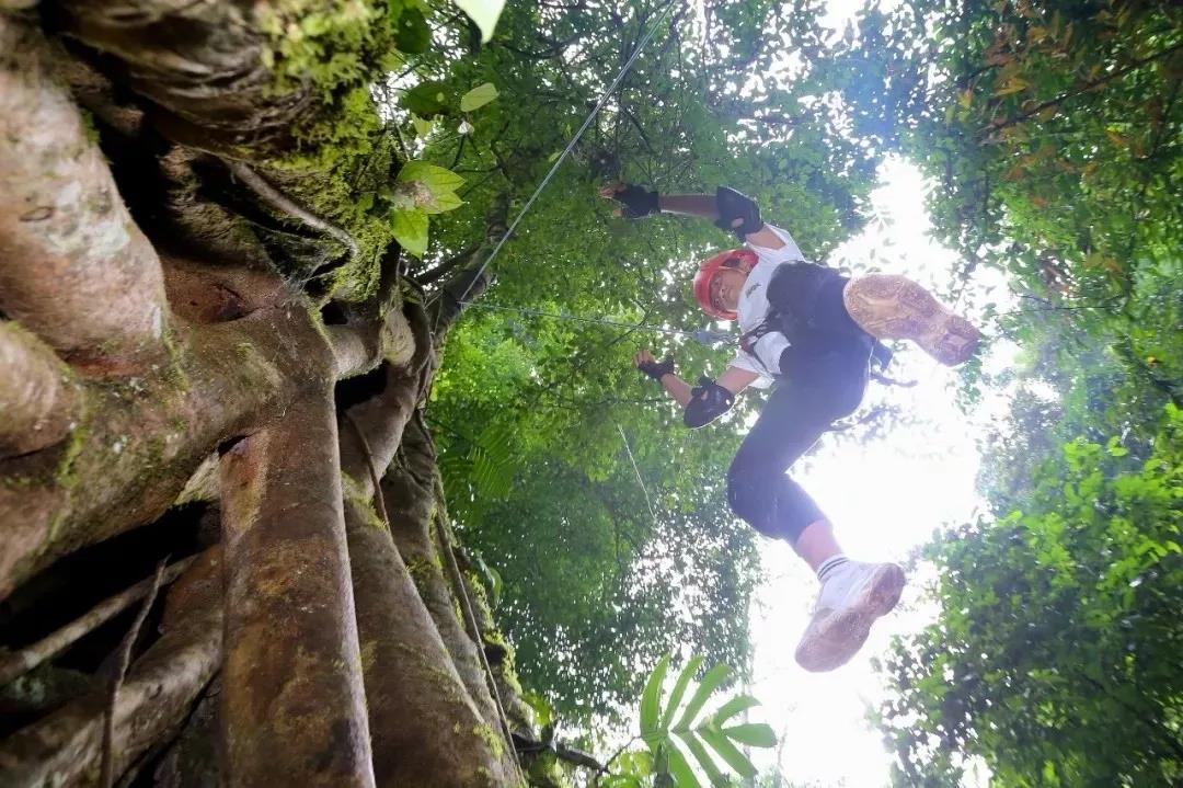 西雙版納研學(xué)夏令營