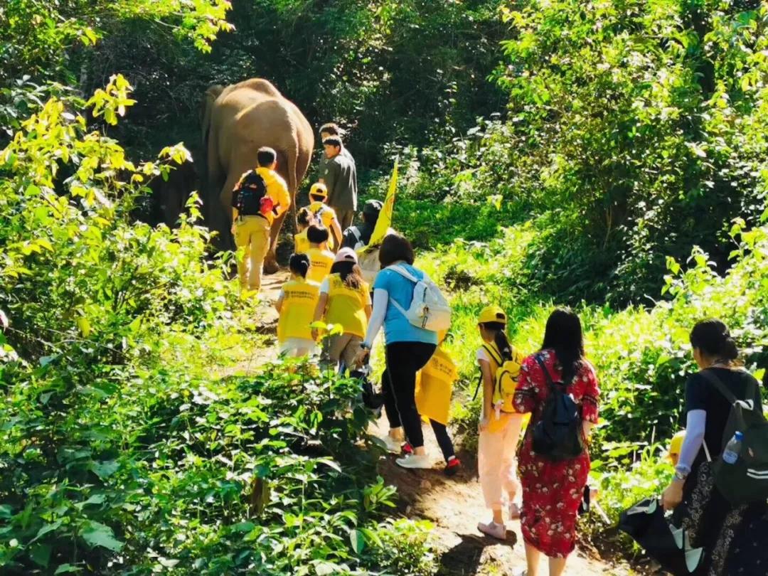 西雙版納研學(xué)夏令營