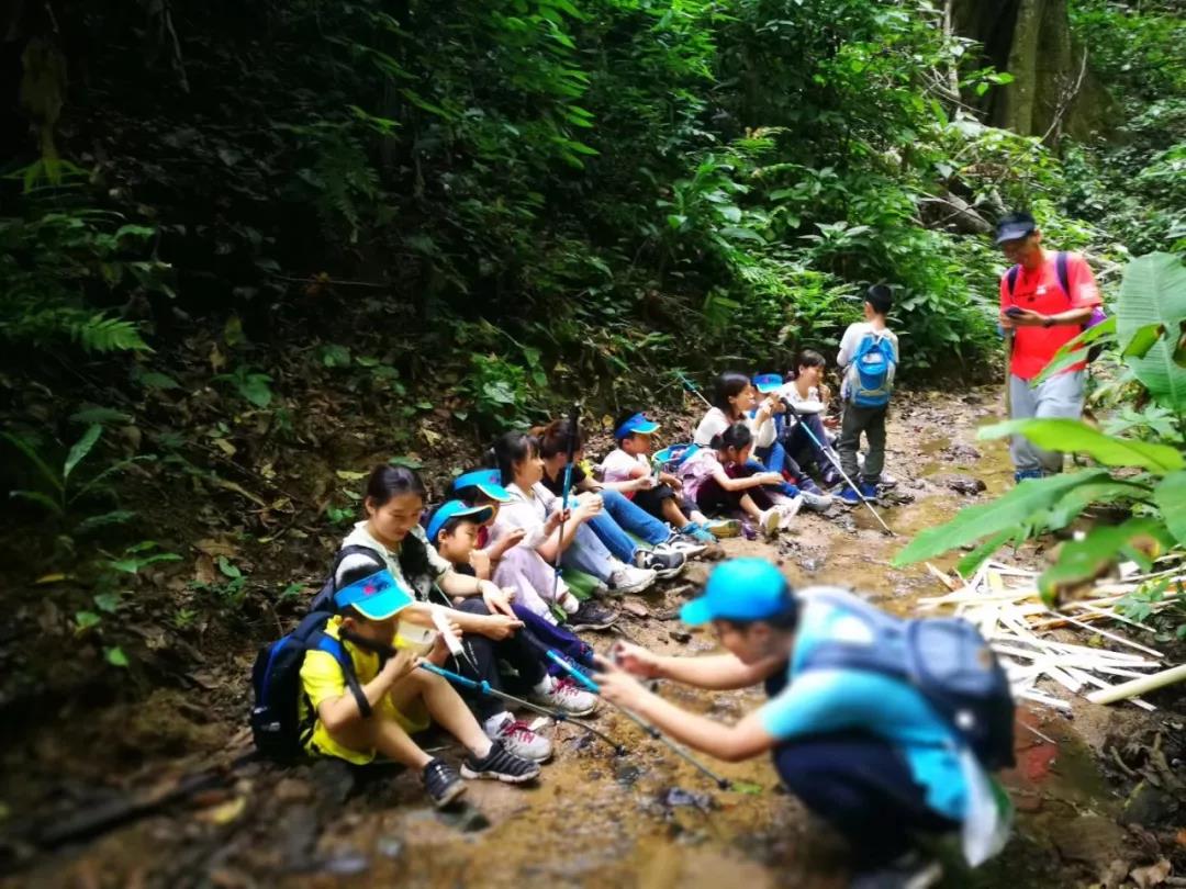 西雙版納研學(xué)夏令營