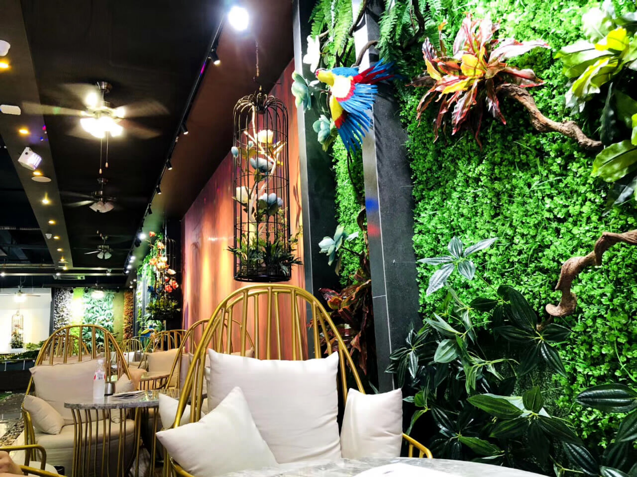 西雙版納會議網(wǎng)