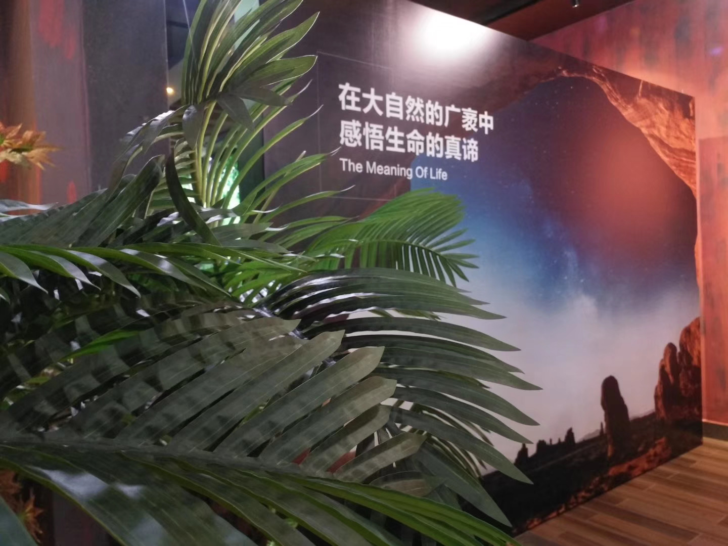 西雙版納會議網(wǎng)