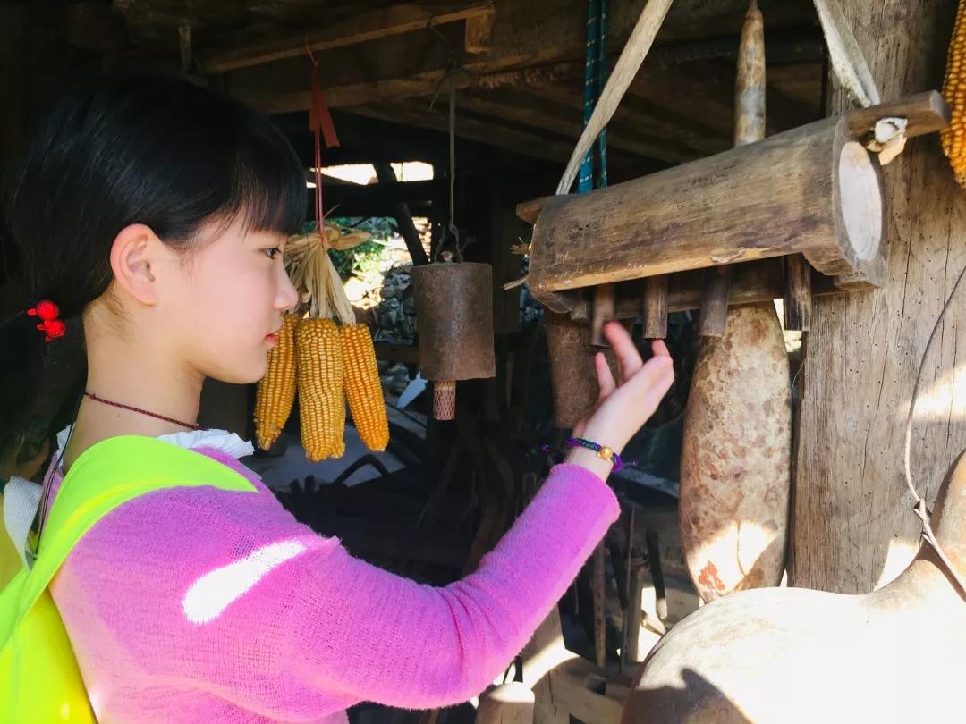 西雙版納研學夏令營