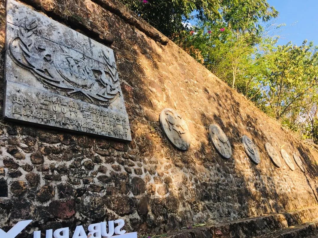 西雙版納研學夏令營