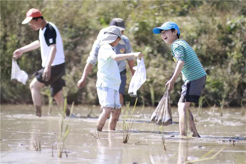 西雙版納研學夏令營