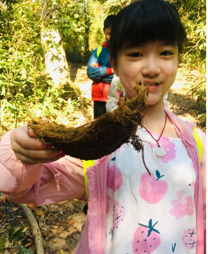 西雙版納研學(xué)夏令營