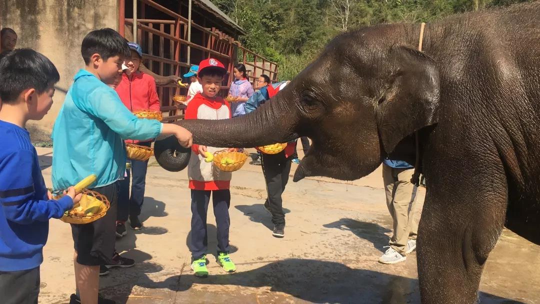 西雙版納研學(xué)夏令營