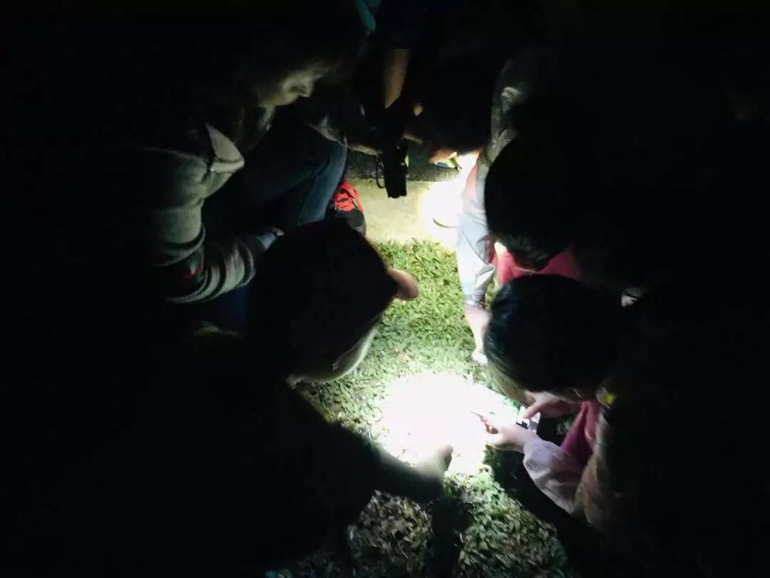 西雙版納研學(xué)夏令營