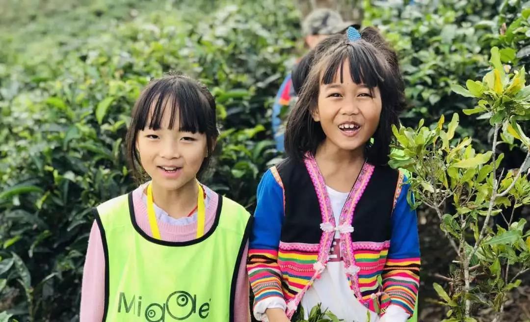 西雙版納研學(xué)夏令營