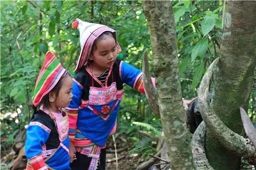 西雙版納研學(xué)夏令營