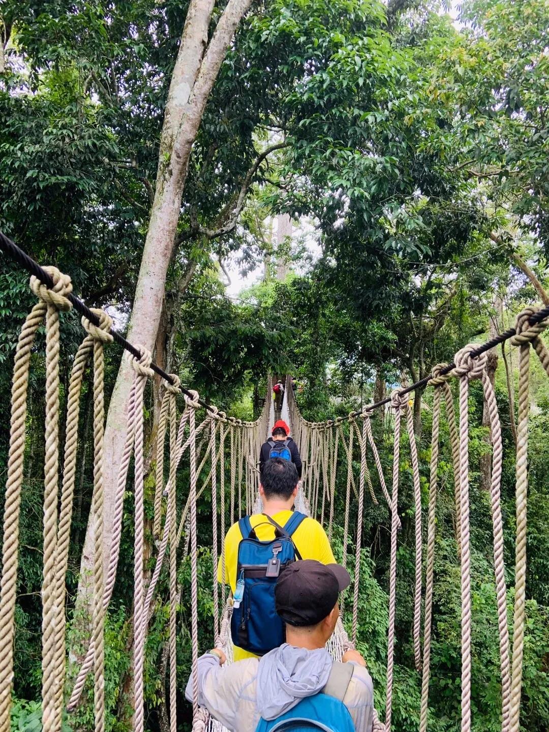 西雙版納研學夏令營