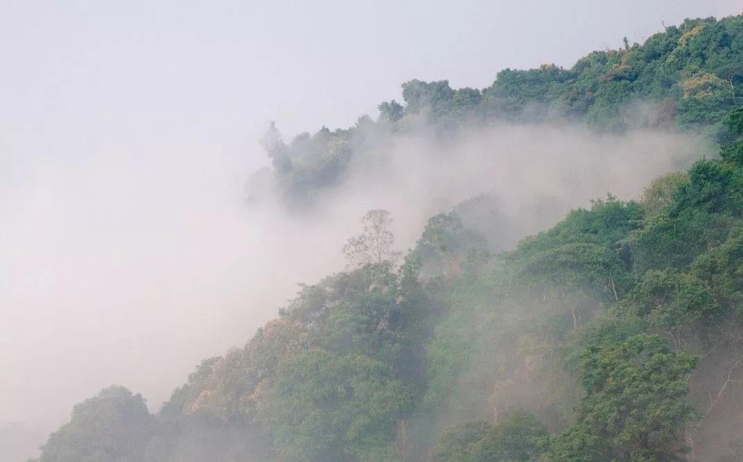 西雙版納研學夏令營