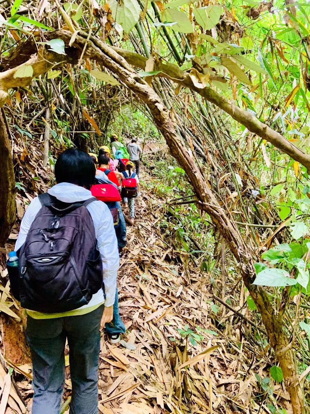 西雙版納研學夏令營