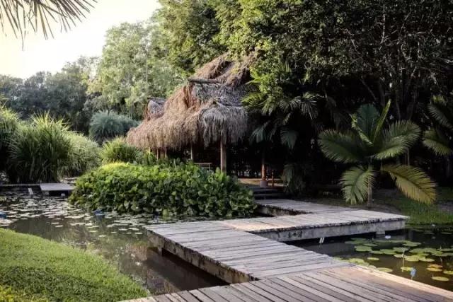 西雙版納 西雙版納