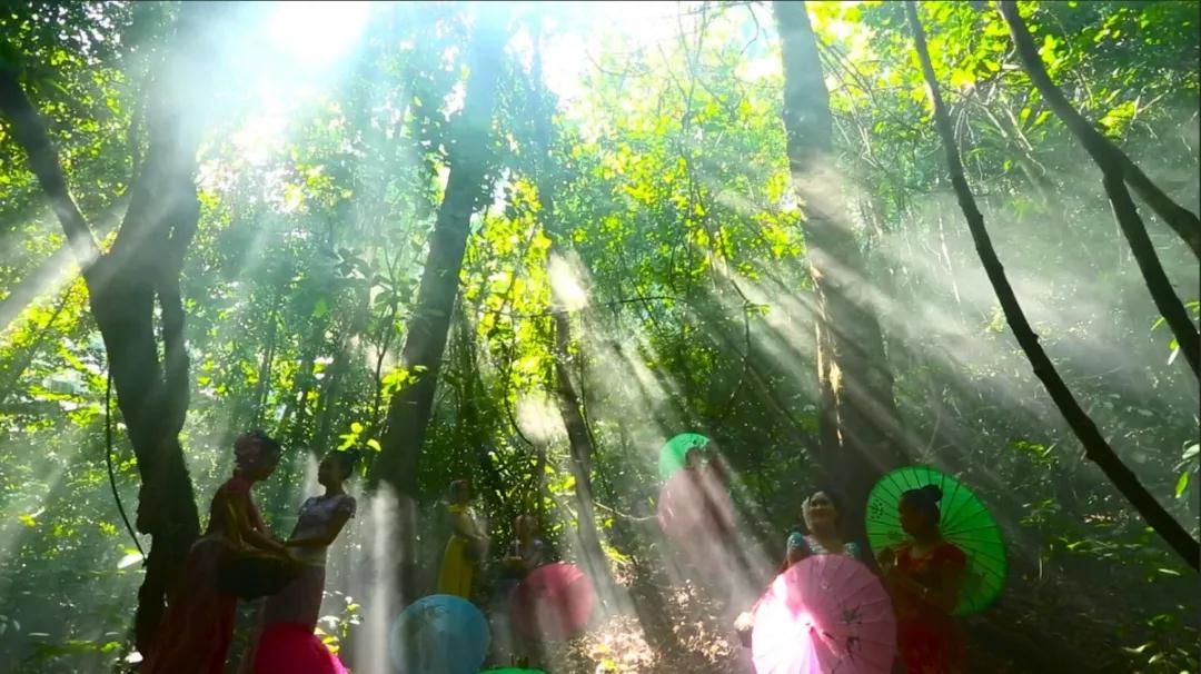 西雙版納會議旅游