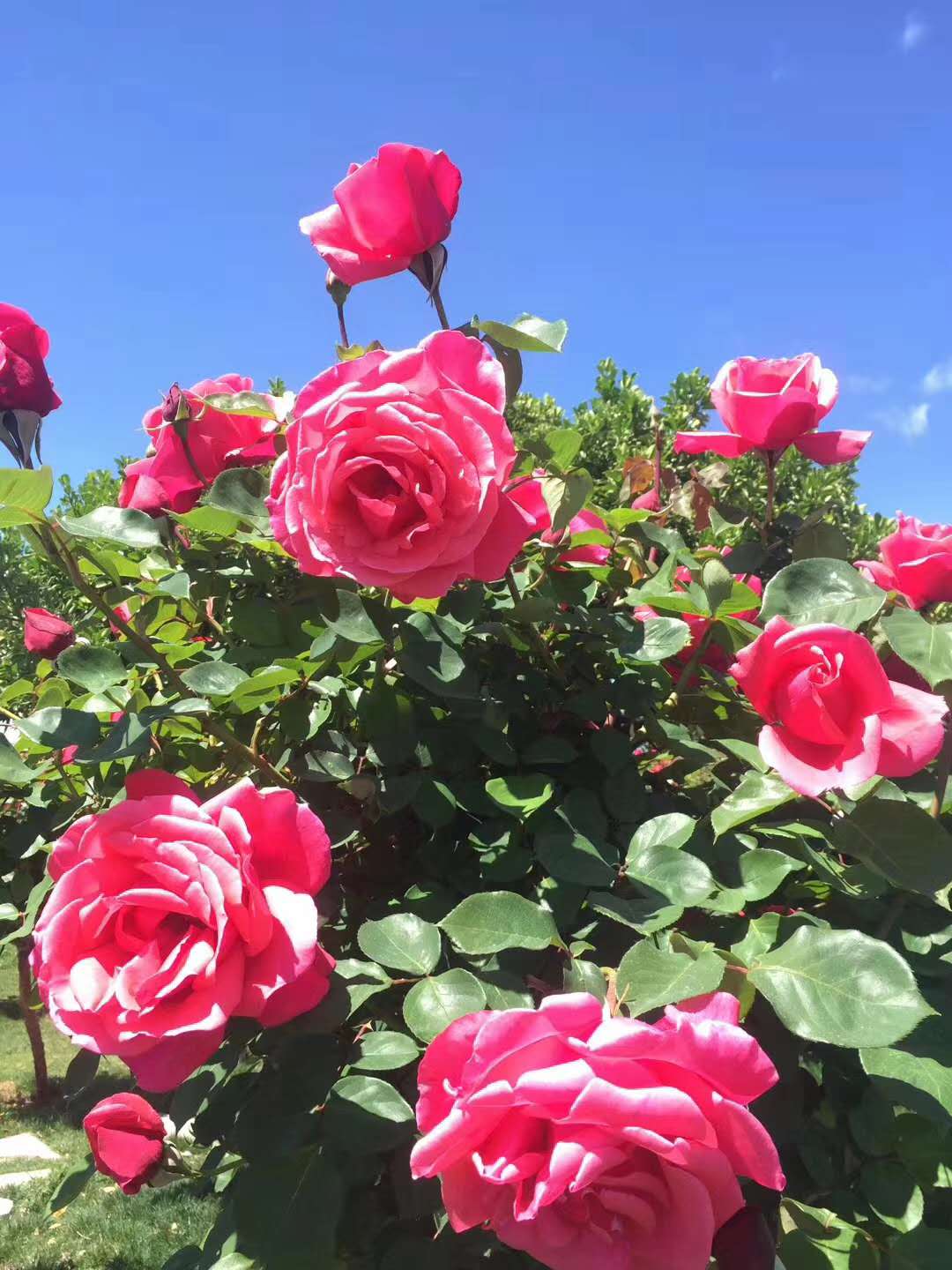 西雙版納拓展基地 西雙版納拓展基地