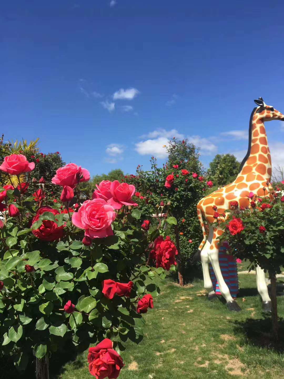 西雙版納拓展基地