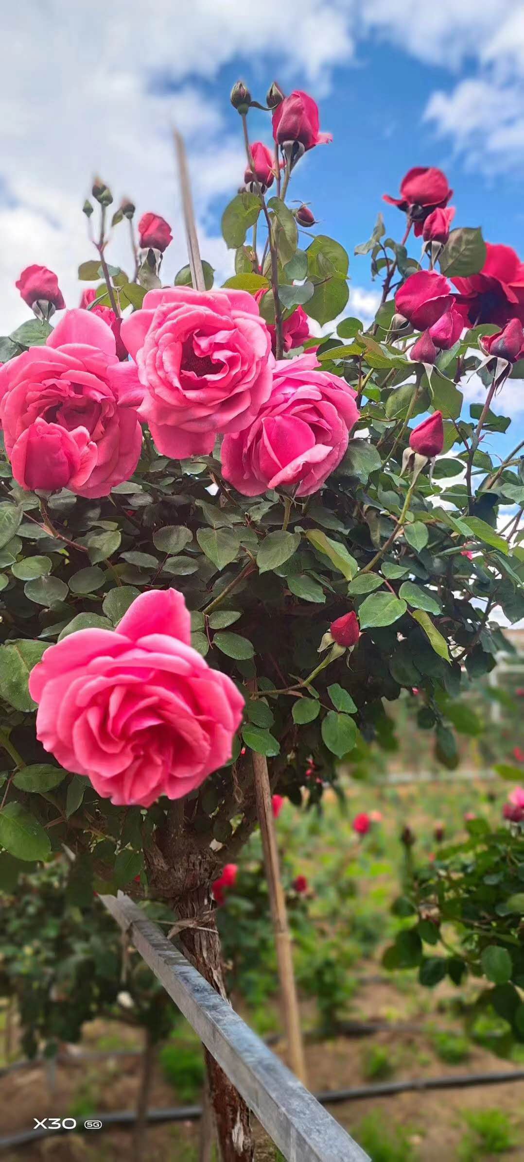 西雙版納拓展基地