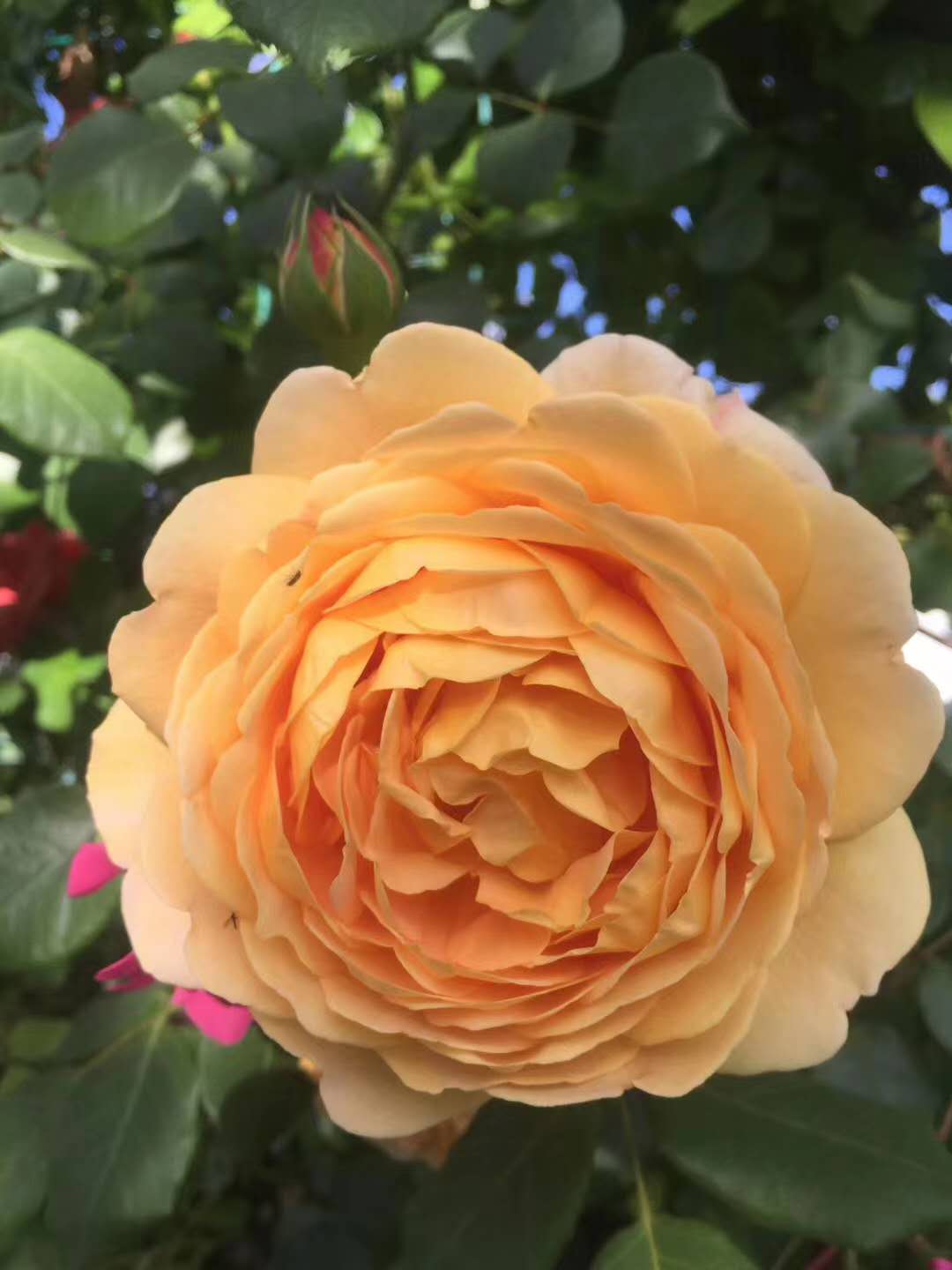 西雙版納戶外拓展基地