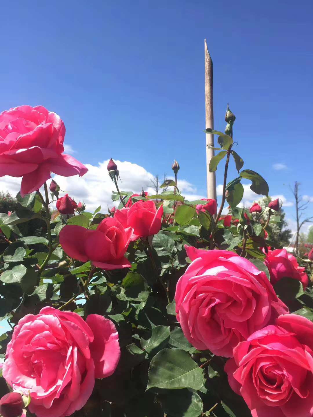 西雙版納拓展基地