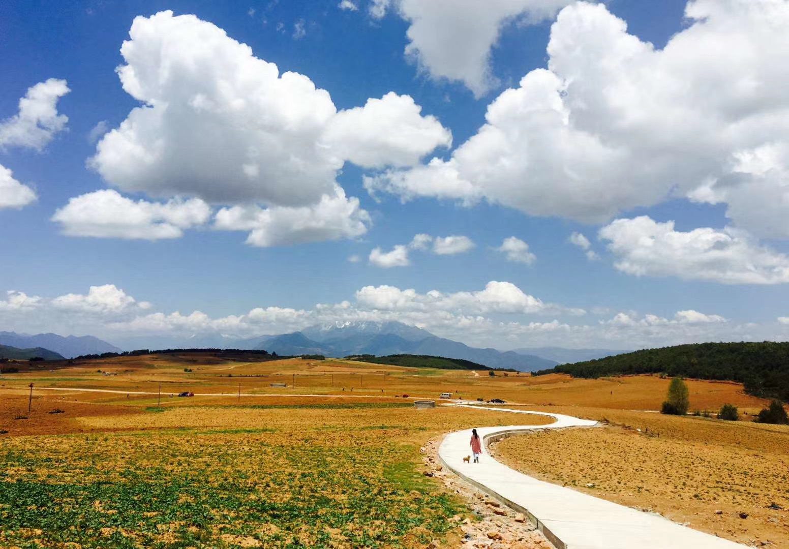 西雙版納 西雙版納