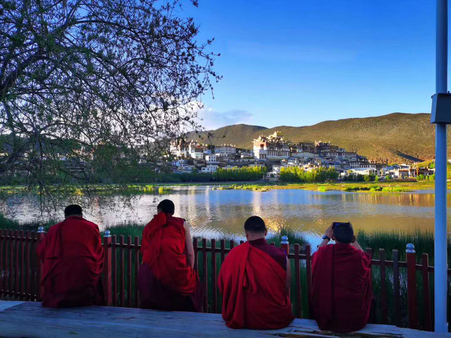 西雙版納 西雙版納