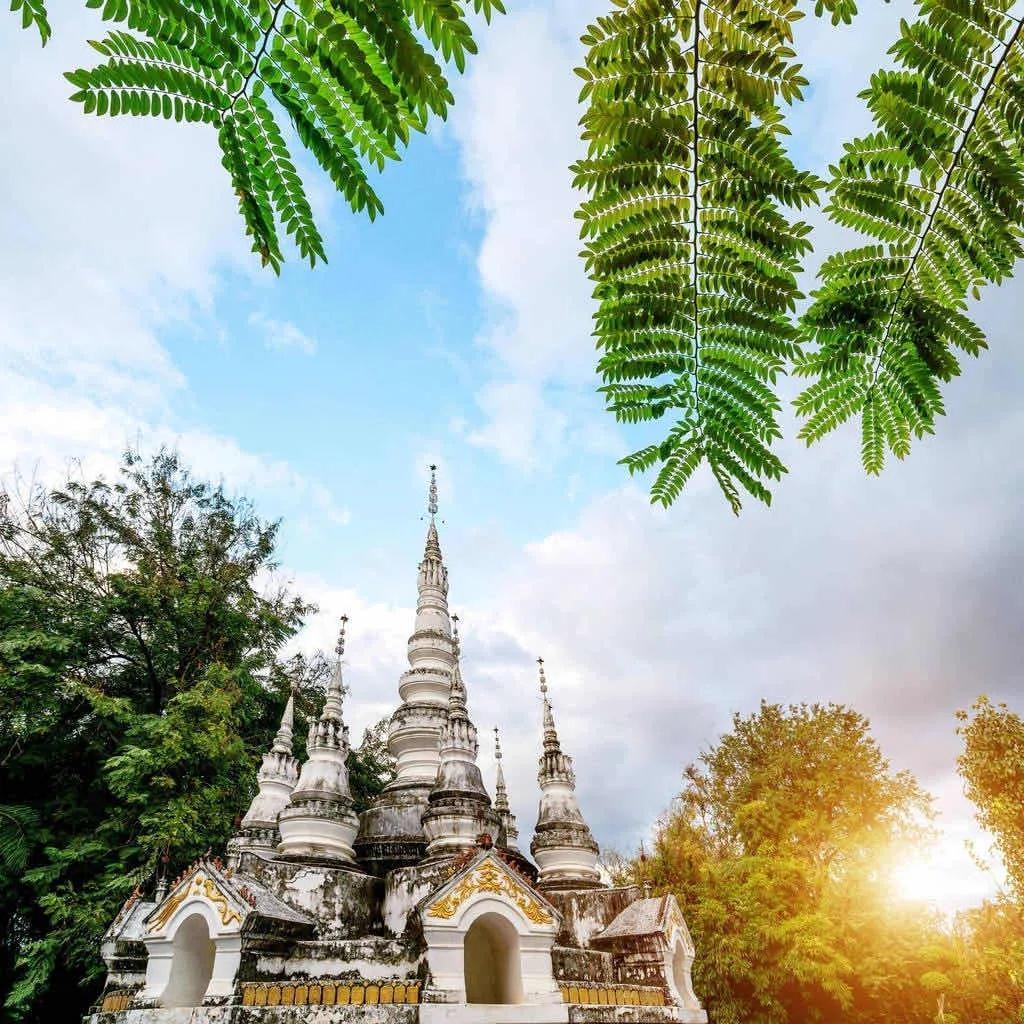 西雙版納 西雙版納