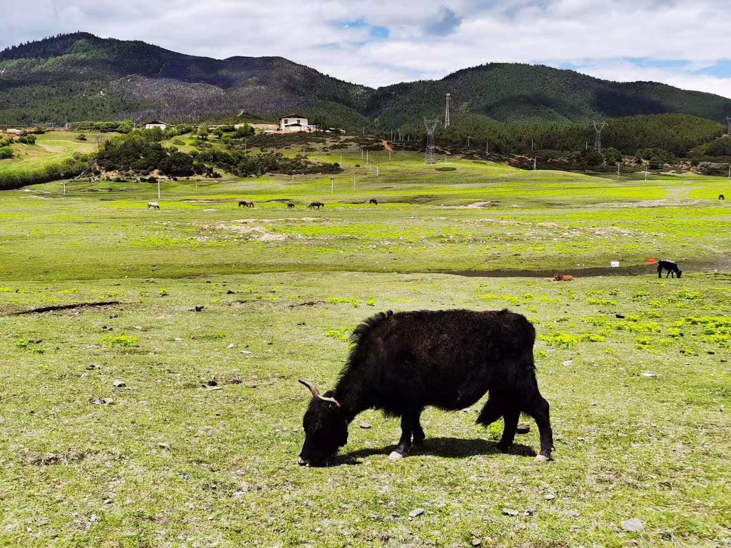 西雙版納 西雙版納