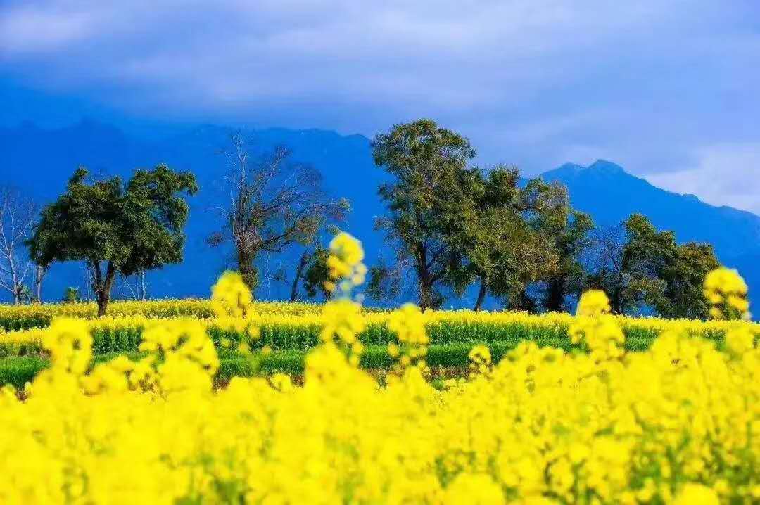 西雙版納 西雙版納