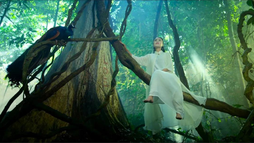 西雙版納 西雙版納