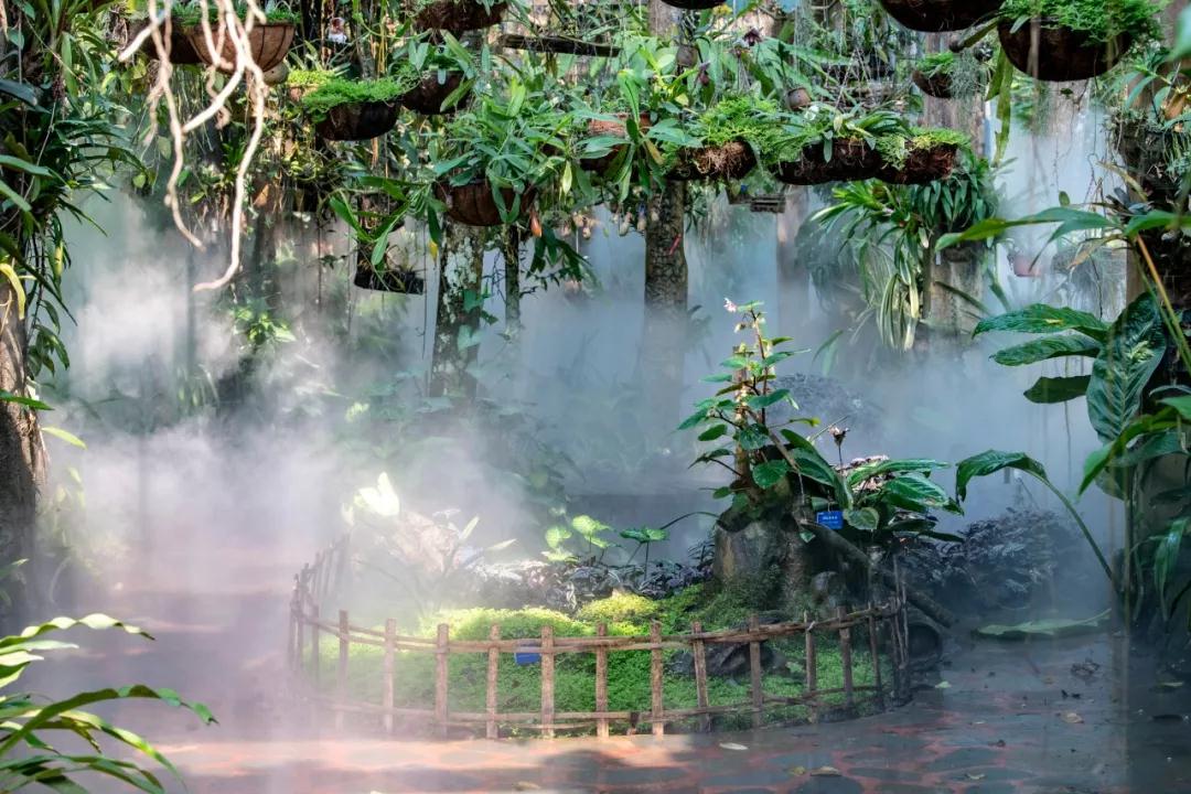 西雙版納 西雙版納