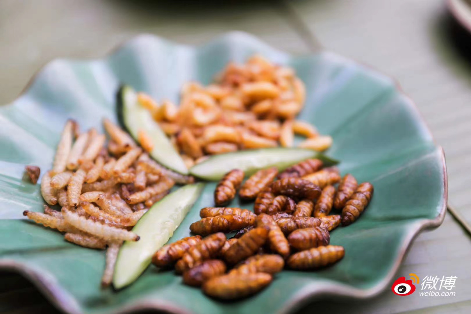 西雙版納會(huì)議策劃公司