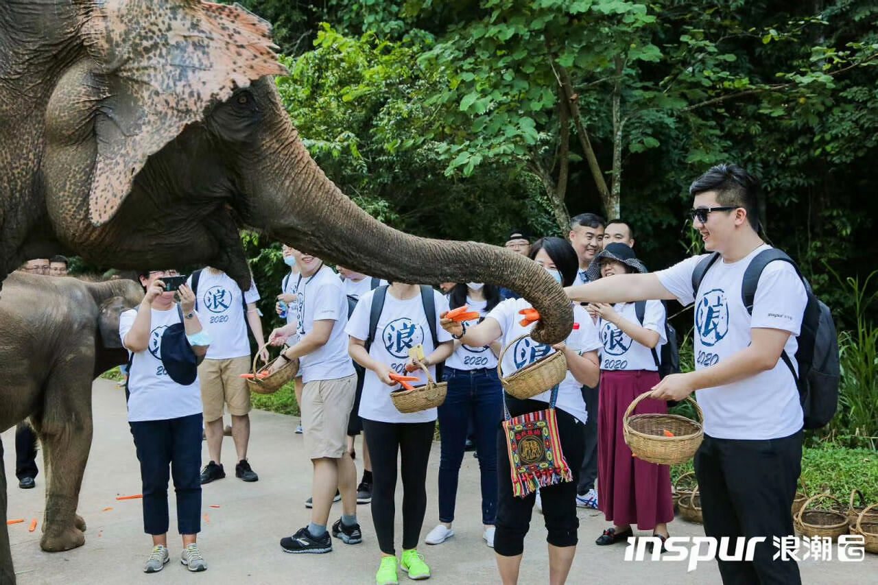 西雙版納會展搭建公司