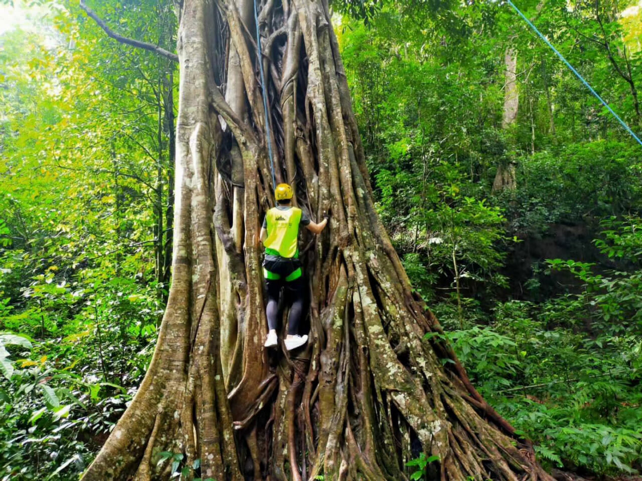 西雙版納熱帶雨林徒步穿越拓展團建