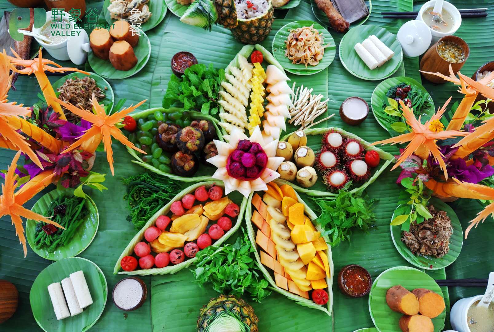 西雙版納野象谷象餐