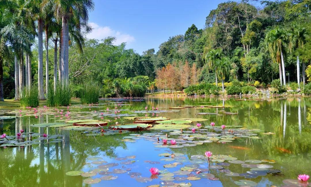 西雙版納 西雙版納