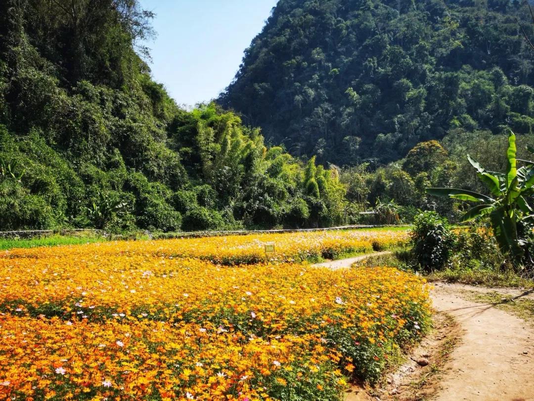 西雙版納 西雙版納