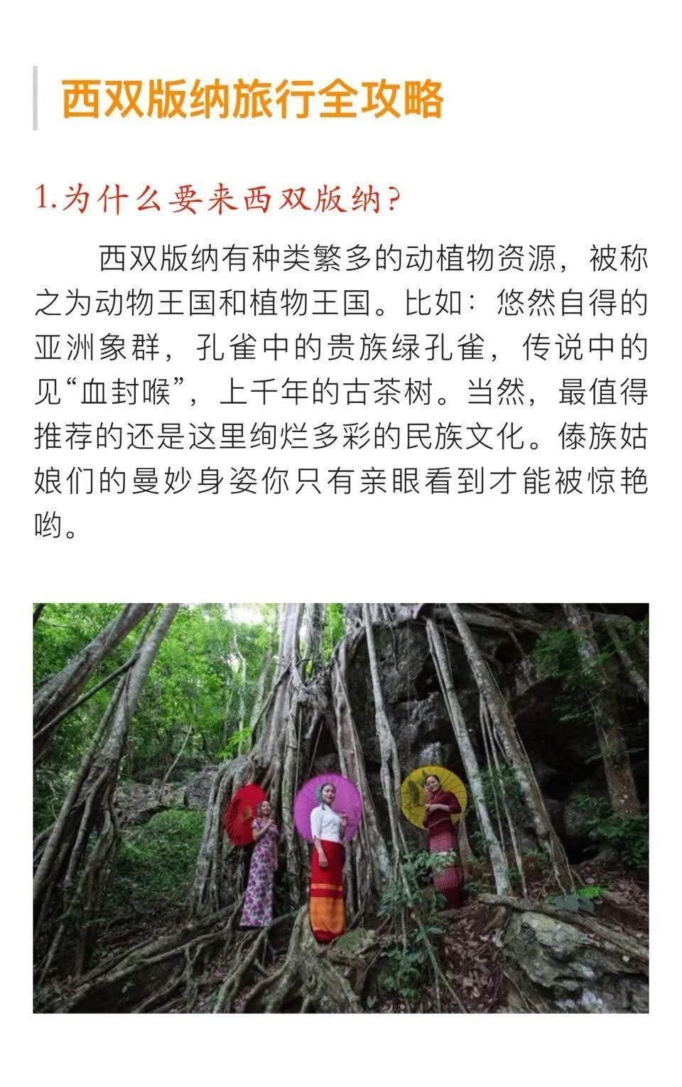 西雙版納 西雙版納