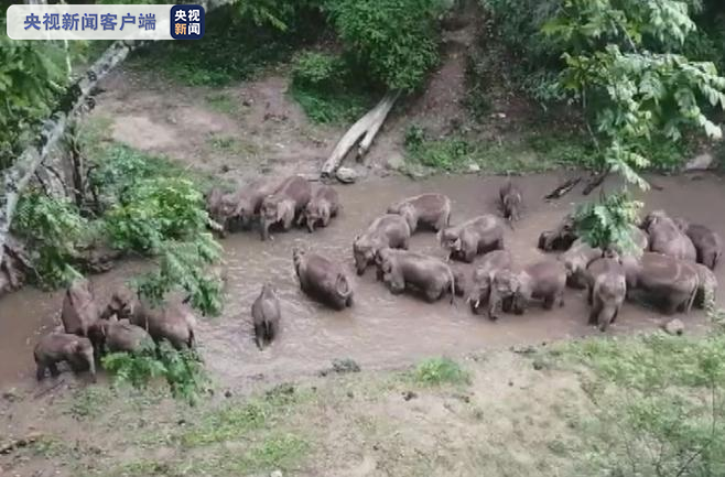 西雙版納 西雙版納