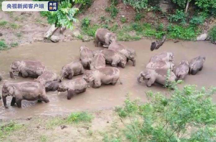 西雙版納 西雙版納