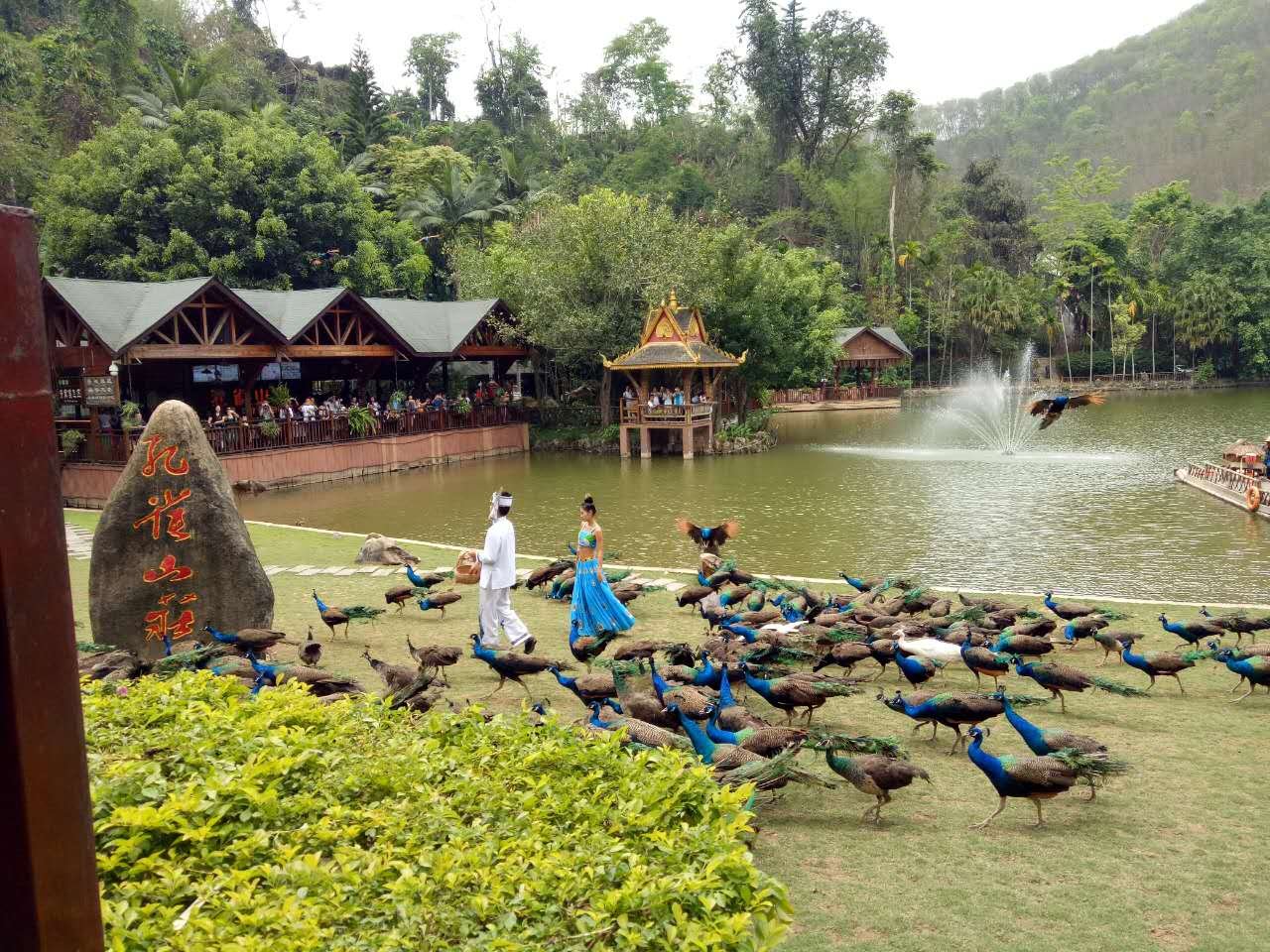 西雙版納原始森林公園旅游攻略