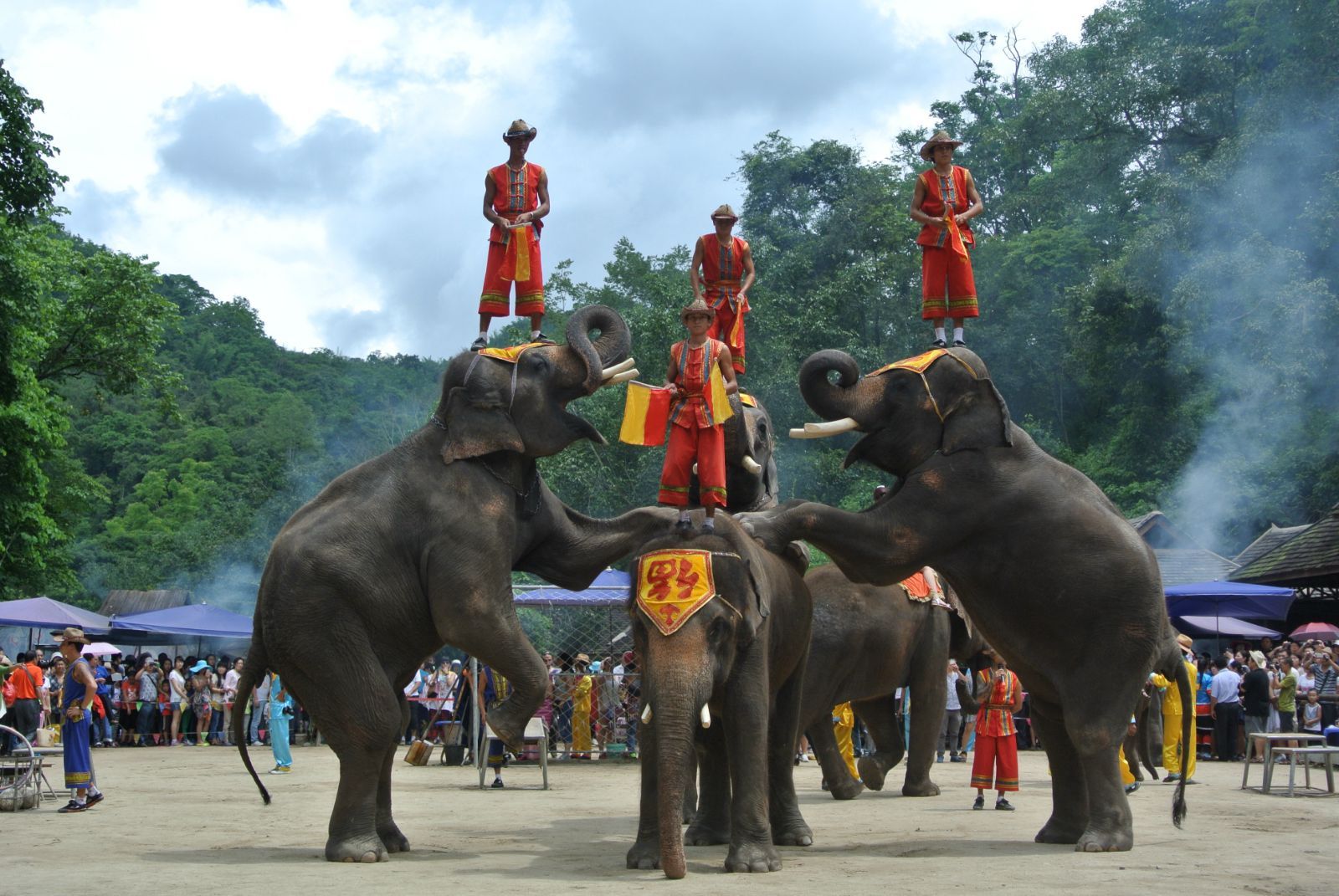 西雙版納野象谷旅游攻略
