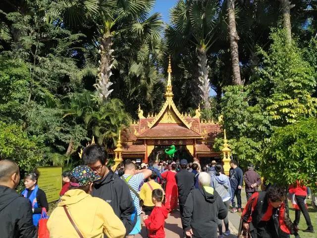 美到極致！2021年，請收下這封來自的西雙版納的邀請函！